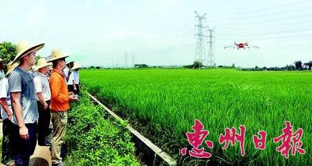 广东惠州惠城区农技中心横沥墨园村培训应用植保无人机