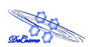 大佥国际有限公司