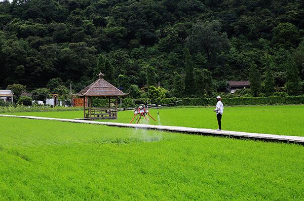 观点：无人机等高效植保机械市场潜力巨大