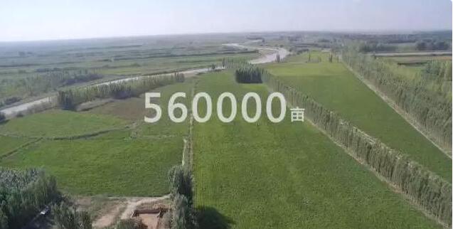 极飞农业如何实现在全国作业560000亩农田不漏喷、不重喷