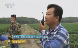 千亿无人机农业植保市场何时打开？