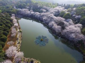 无人机航拍湖南植物园美景，吸引众多游客观赏