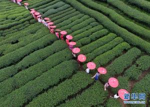 大美春天 航拍中国