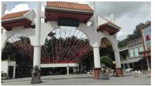 东湖公园凤凰木遇袭，天鹰兄弟植保无人机高效灭虫