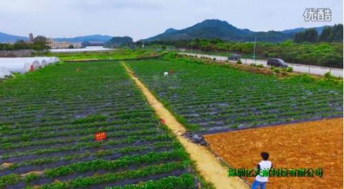 亿天航：人工喷药与无人机喷药大PK