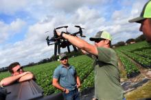 美国首部商用无人机法规周一生效 禁止夜间飞行