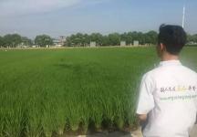 飞的更高！羽人亮相南京湖熟现代农业示范园