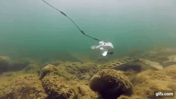 水下无人机 妈妈再也不用担心我钓不着鱼了