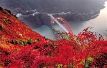 文峰观上观文峰 无人机航拍巫山之美