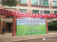 袁氏杂交稻+水稻直播技术+无人机植保，合力打造水稻全程机械化种植之路