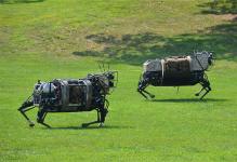 无人机落后了 谷歌考虑用机器狗送货