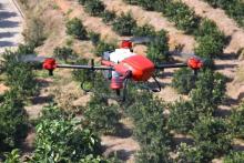 水果农药残留的时代，即将终结！