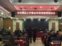 韦加无人机“智慧果园”让农户轻松种植