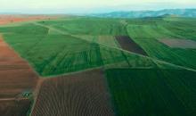 极飞运营小分队在这几天忙坏了