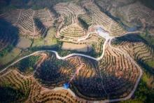 极飞植保无人机系统发布重要更新