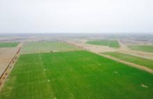 极飞保障，伴随每一次安全飞行