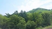 “大壮”植保机山地苹果树飞行演示