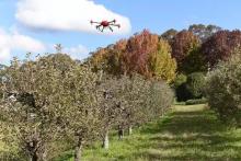 极飞获澳大利亚 CASA 飞行许可