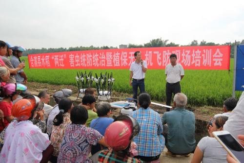 合浦：植保无人机“飞防”助推水稻“两迁”害虫统防统治工作上台阶