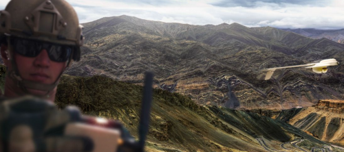 AeroVironment UAS:Wasp®AE