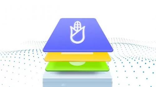 一键直达 | 极飞P20喷洒过哪些农作物？