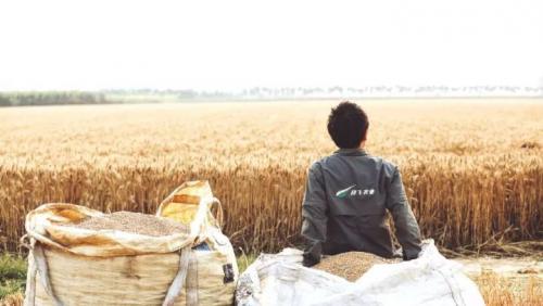 世界粮食日 | 极飞科技与全球合作伙伴一同呼吁