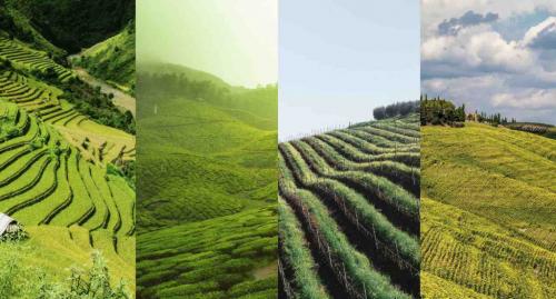 想知道未来农场长啥样吗，极飞要用这三款新发布的植保无人机告诉你