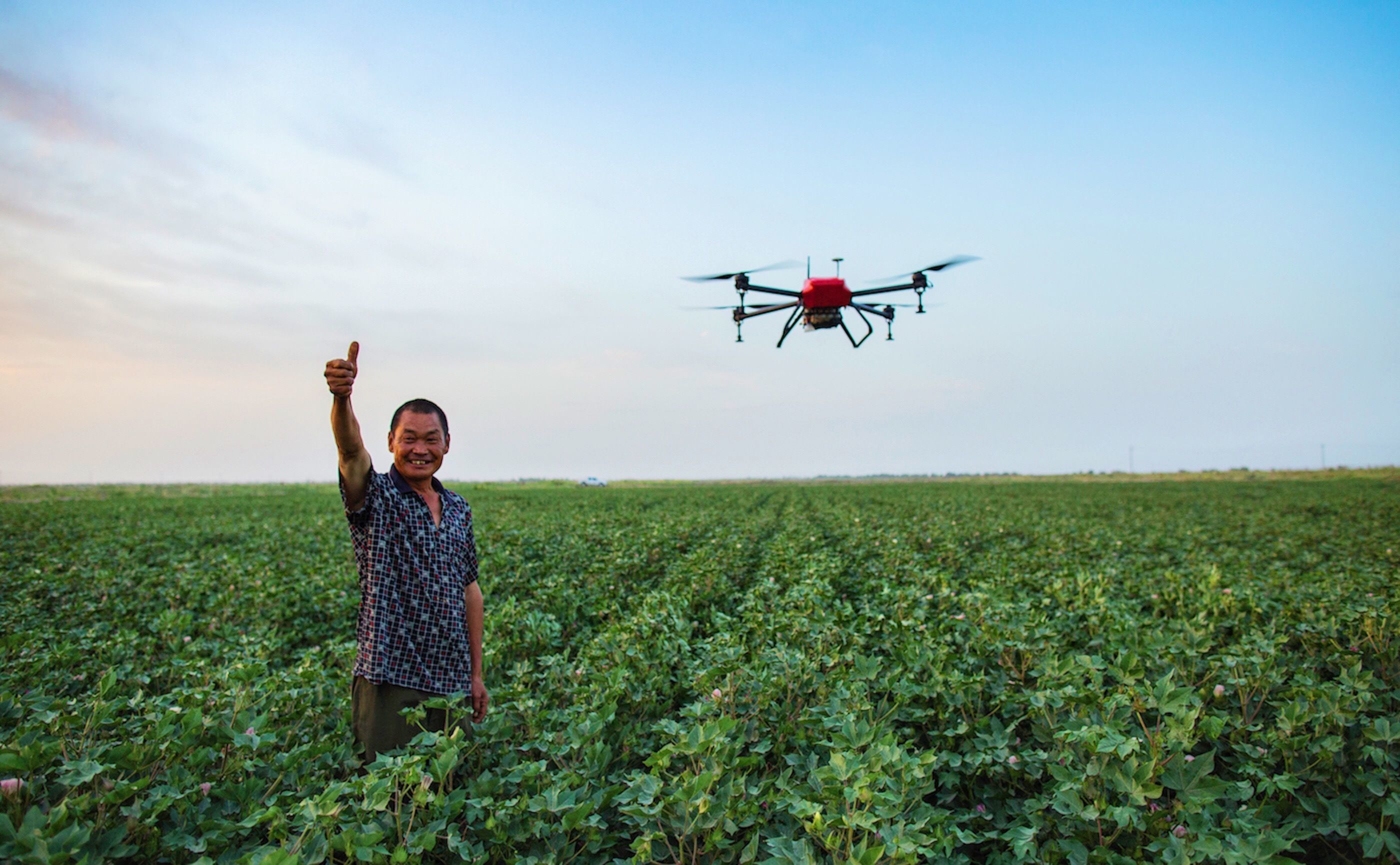 从写字楼「跌落」田间：性感的新农业，和极飞的风口