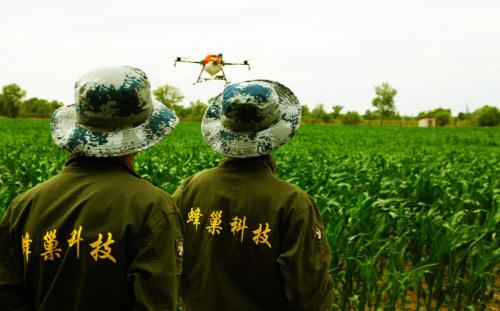 蜂巢科技：极飞、大疆两重大山下，这架植保无人机攻下了全国 100 万亩耕地 | 创业
