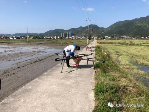 补短板 促机种 多功能植保无人机加快推进水田高效技术推广