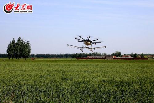 即墨区利用无人机植保 15架飞机完成150亩飞防任务