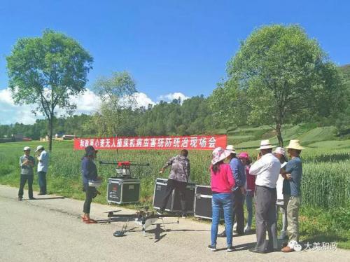 临夏州和政县：无人机植保 助农增产增收