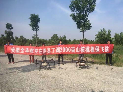 核桃树用了植保无人机省时高效！
