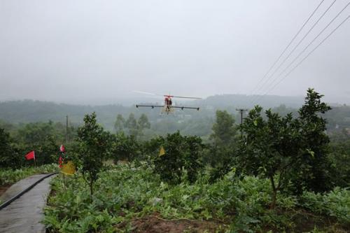 涪陵：植保无人机省劳力，精准施药展风采