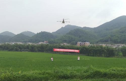 江安县植保无人机统防统治水稻病虫害