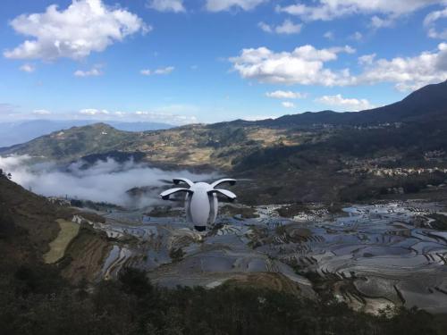 无人机+水下机器人，臻迪：“跨界创新”成就的AI独角兽