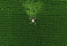 半年作业3000万亩，极飞如何赢得黑龙江植保市场？