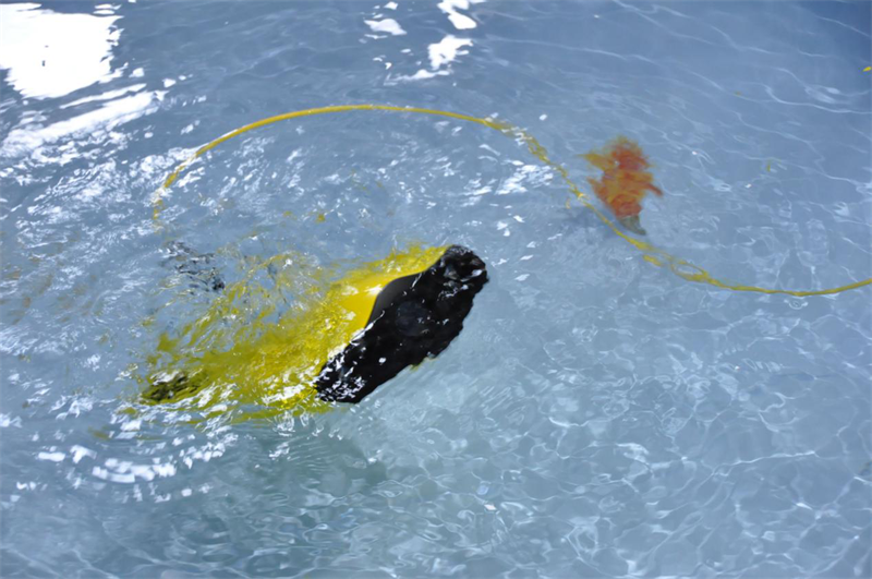 “鲛”鱼潜水游——这款水下无人机真的很好玩