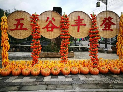 共庆农民丰收节，大疆与你共前行