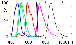 Llavionjaune传感器