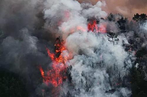 赵勇：垂直行业的商业无人机应用正当时