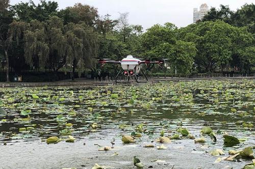 洪湖公园利用植保无人机开展病虫害防治