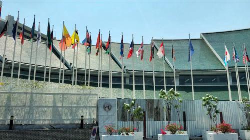 极飞参加联合国亚太经社会主办论坛，共探技术赋能小农经济