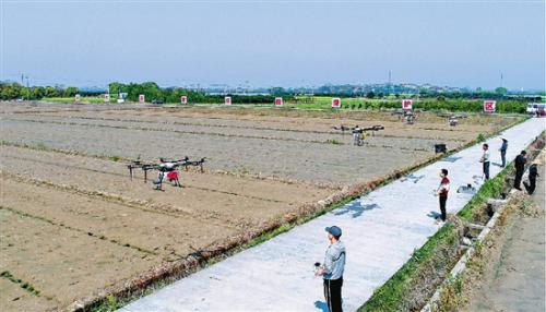 来了，无人机春耕队！衢江植保有“空军”，省力又省心