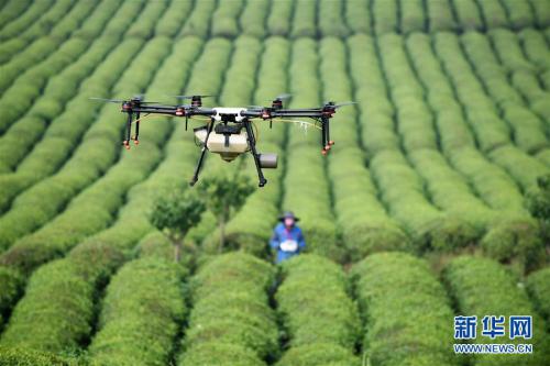 贵州安顺：无人机植保促增收
