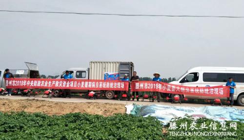 滕州投入100余架植保无人机防治15.8万亩小麦