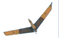 Speck   BIRD-EYE 600 