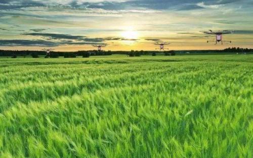 进入“三夏”繁忙季节 植保无人机纷纷出动确保农业生产安全