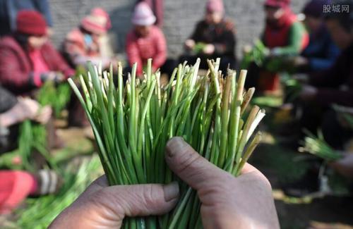 7.8亿元农机补助下达湖北 继续开展植保无人机试点