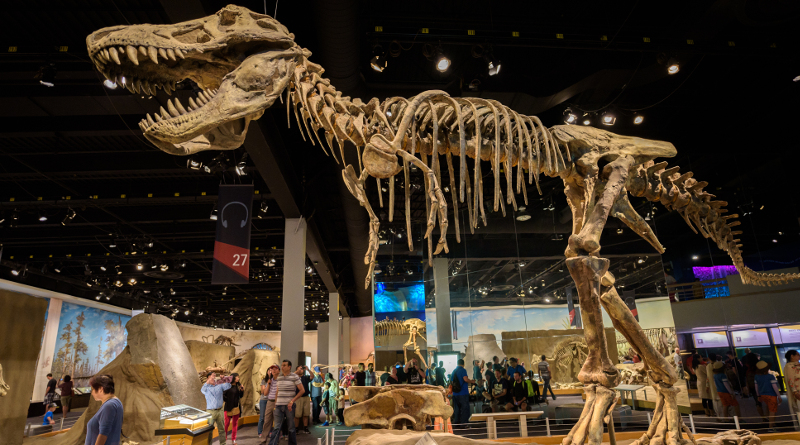 飛手自製小型無人機穿梭恐龍骨架，還把 GoPro 也裝上去了？